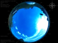 image-20260608171336.jpg