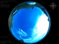 image-20260608172401.jpg