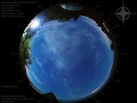 image-20260609024953.jpg