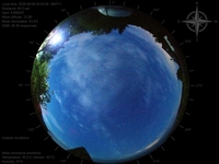 image-20260609025300.jpg