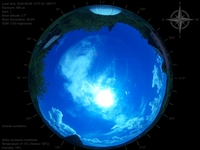 image-20260609133733.jpg