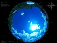 image-20260609144005.jpg