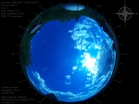 image-20260609154955.jpg