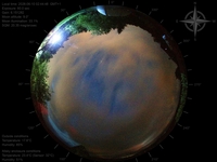 image-20260610024448.jpg