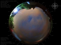image-20260610030024.jpg