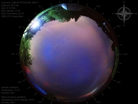image-20260610033339.jpg