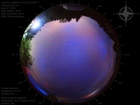 image-20260610033749.jpg