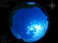 image-20260610152535.jpg