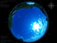 image-20260610152945.jpg