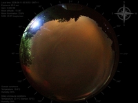 image-20260611003553.jpg