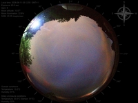 image-20260611031255.jpg