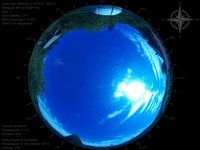 image-20260611161337.jpg