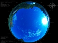 image-20260611182043.jpg