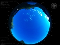 image-20260611195530.jpg