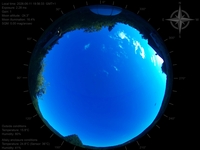 image-20260611195633.jpg
