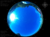 image-20260612081303.jpg