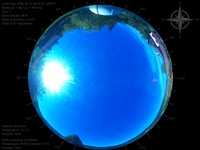 image-20260612084932.jpg