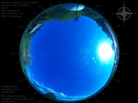 image-20260613181213.jpg