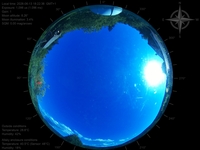 image-20260613182238.jpg