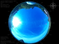 image-20260614084201.jpg