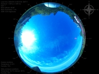 image-20260614090354.jpg