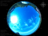 image-20260614092855.jpg