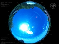 image-20260614113913.jpg