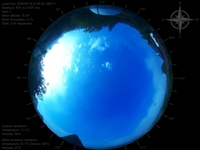 image-20260616075528.jpg