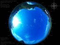 image-20260616083053.jpg