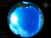 image-20260616084426.jpg