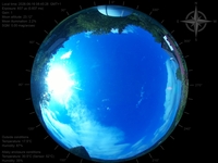 image-20260616084528.jpg