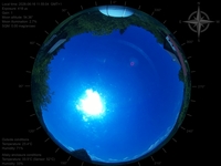 image-20260616115504.jpg