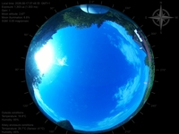 image-20260617074835.jpg