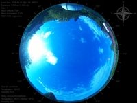 image-20260617082156.jpg
