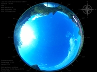 image-20260617083827.jpg