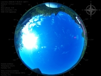 image-20260617092931.jpg