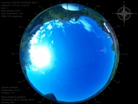 image-20260617093546.jpg