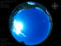 image-20260617100354.jpg