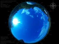 image-20260618083906.jpg