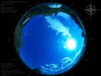 image-20260618164655.jpg