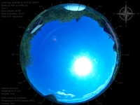 image-20260619145355.jpg