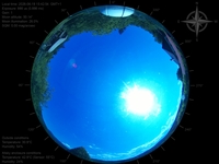 image-20260619154254.jpg
