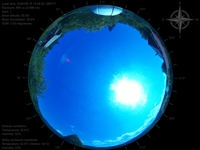 image-20260619154602.jpg