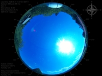 image-20260619154704.jpg