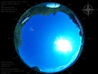 image-20260619155114.jpg