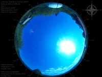 image-20260619160344.jpg