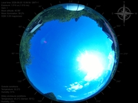 image-20260620155654.jpg