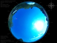 image-20260620163528.jpg