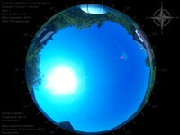 image-20260621104256.jpg