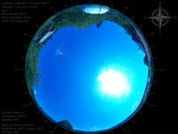 image-20260621154055.jpg